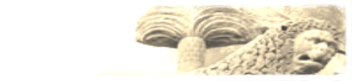 OFFREDDUCCIO DI VALCENA CAPOSTIPITE DEI TIGNOSI