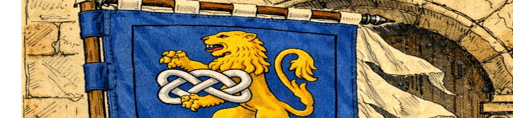TORRI, FAZIONI E VENDETTE:  I COCCI NELLE LOTTE POLITICHE DELLA VITERBO MEDIEVALE